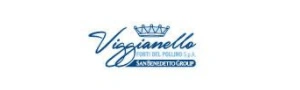 viggianello-logo-ok-2col
